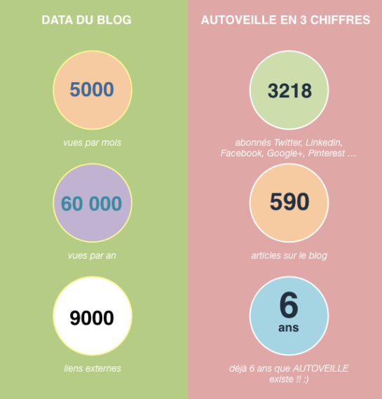 infographie-donnees-data-blog-seo-autoveille